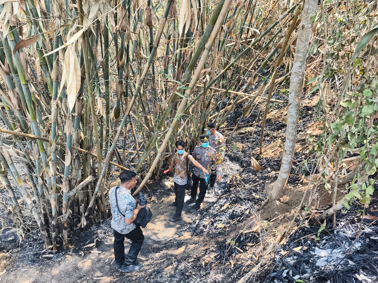 Petugas saat olah tempat kejadian pekara korban meninggal terbakar dari lahan bambu.