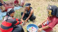1003079604 Prosesi memandikan kucing belang telon menggunakan air dawet dan air kembang di tengah sawah Dusun Banjarsari, Desa/Kecamatan Bareng, Kabupaten Jombang, Minggu (25/10/2026).