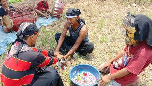 Prosesi memandikan kucing belang telon menggunakan air dawet dan air kembang di tengah sawah Dusun Banjarsari, Desa/Kecamatan Bareng, Kabupaten Jombang, Minggu (25/10/2026).